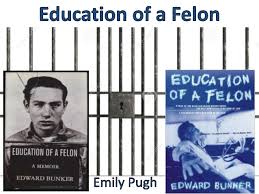 education of a felon.jpg